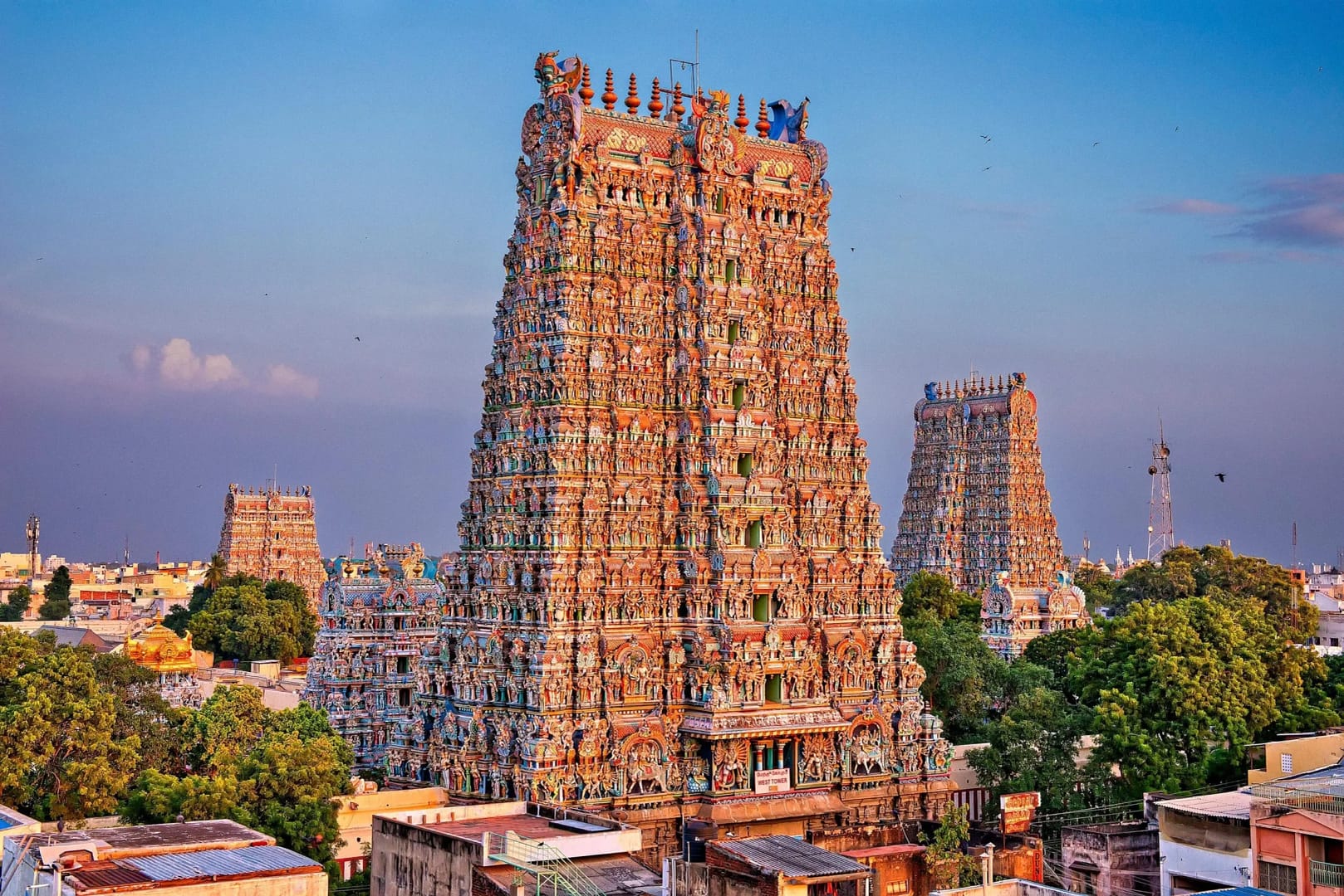 marathi translation services