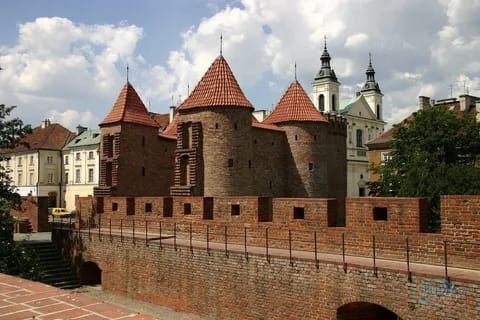 Polish translation services